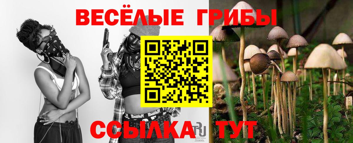 Псилоцибиновые грибы ЛСД Кызыл